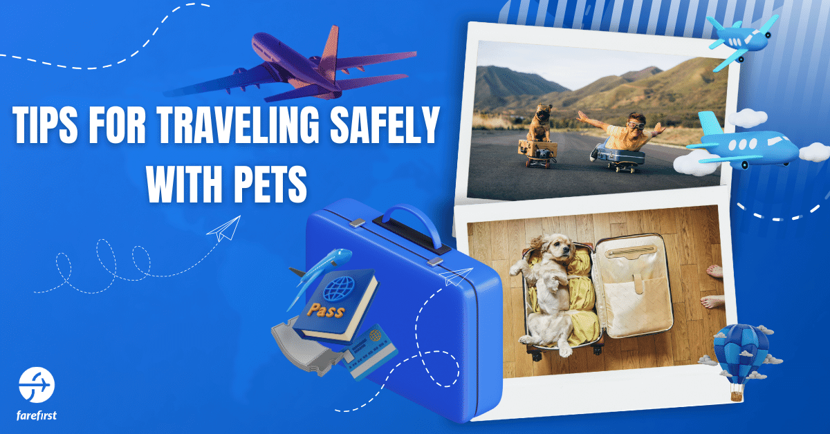 Tips for Traveling Safely with Pets