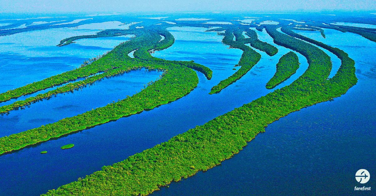 amazon-rainforest