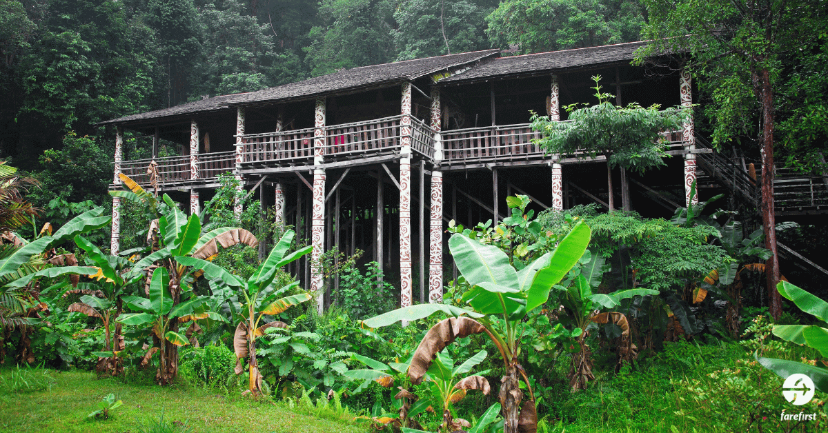 borneo-rainforest