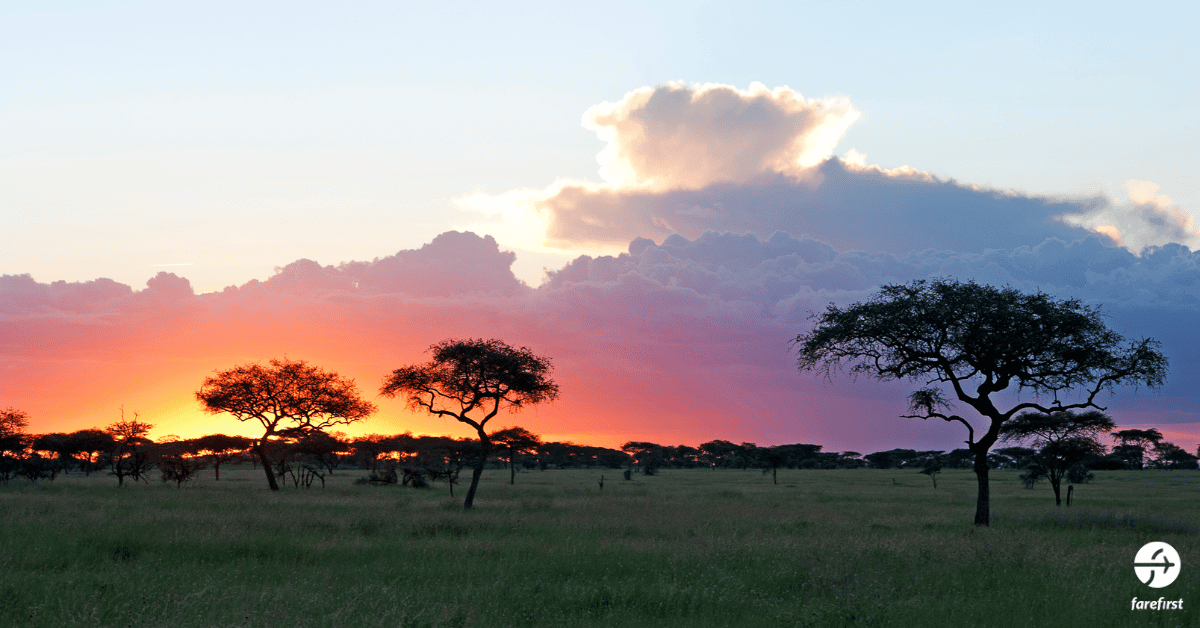 serengeti-national-park