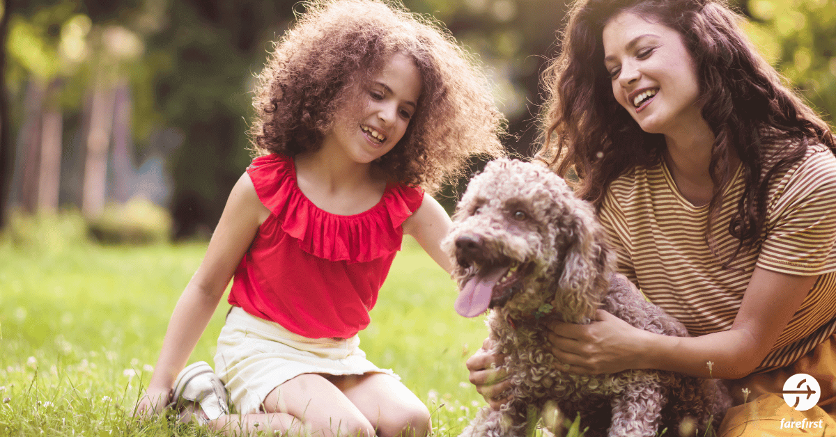 be-mindful-of-your-pets-comfort