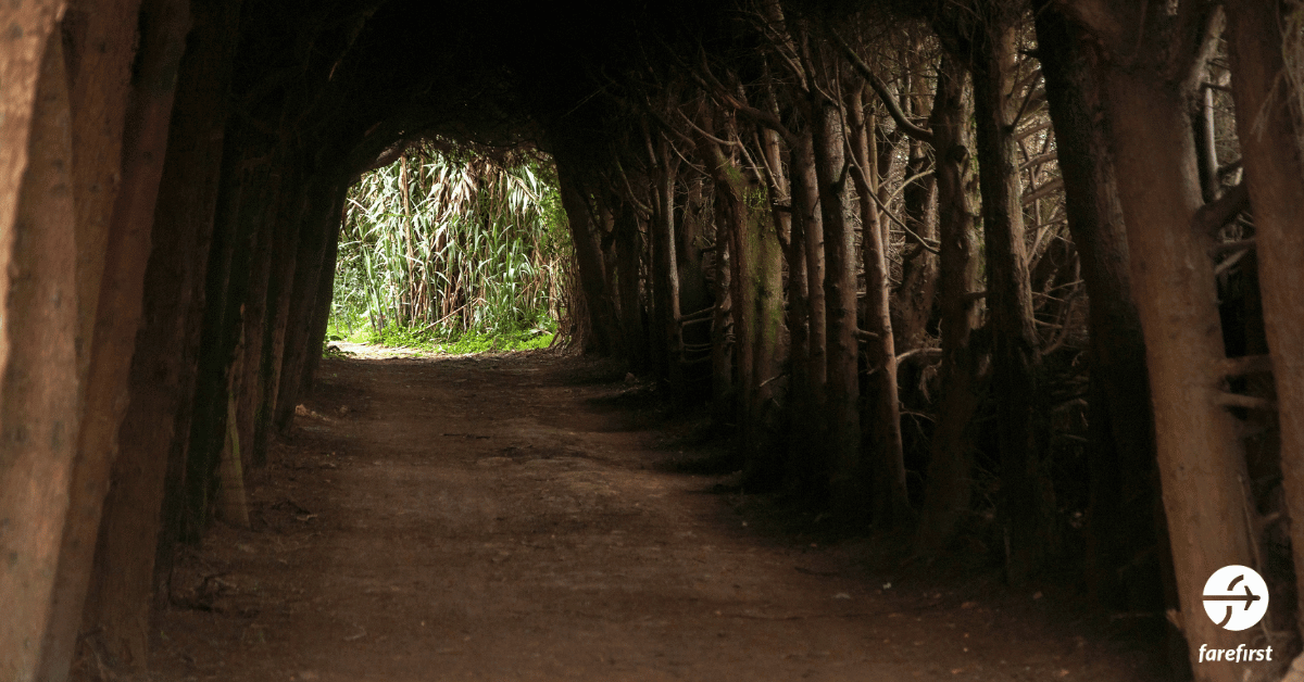covered-passages