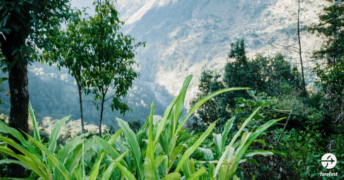 cardamom-mountains